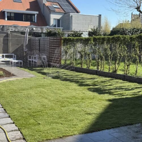 Aanleg van graszoden te Mariakerke